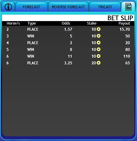 Derby bet slip