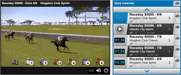 Virtual horse play